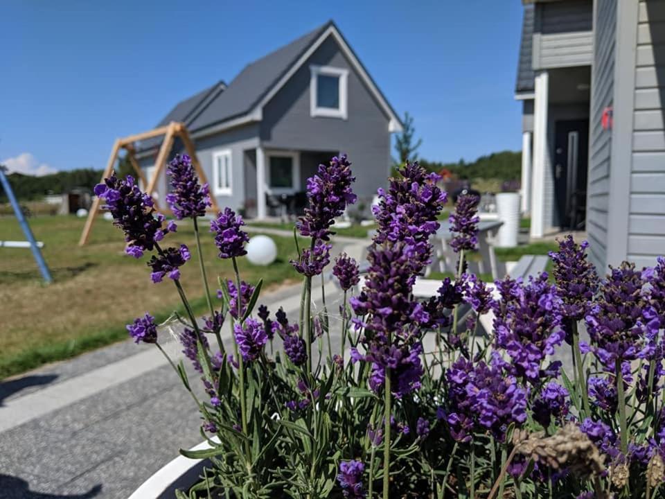 Morskie Opowiesci Niechorze Exteriör bild
